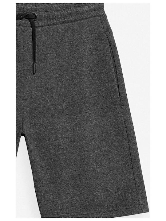 Men's Shorts Gray