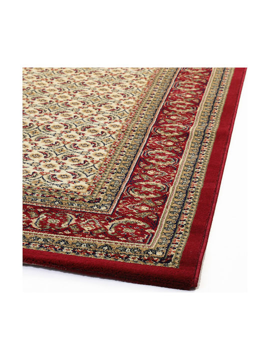 Royal Carpet Olympia 5238 Rug Rectangular Cream