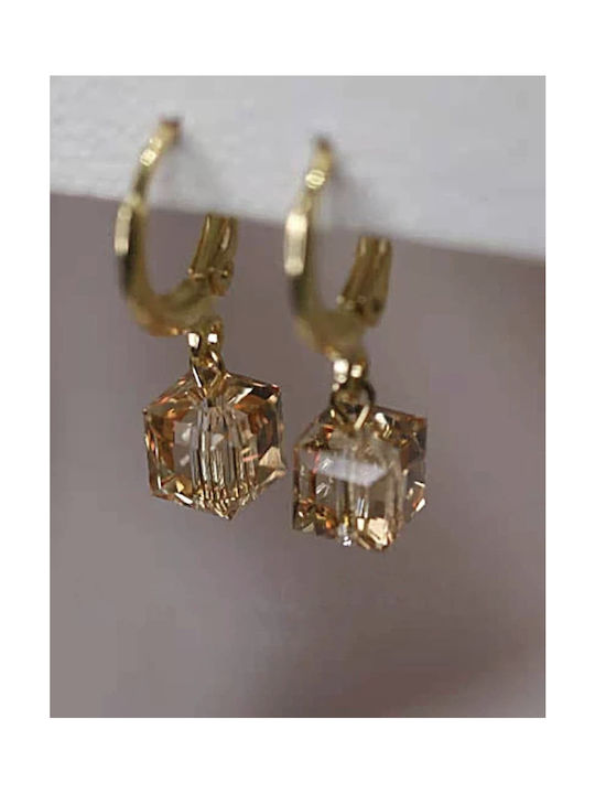 Earrings with Gold Plated Steel Stone Earrings