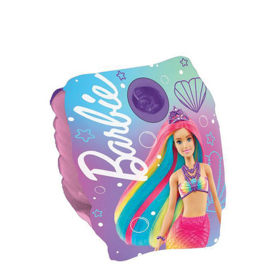 Gim Princess Swimming Armbands 3-6 years Barbie 25x15cm. Multicolored