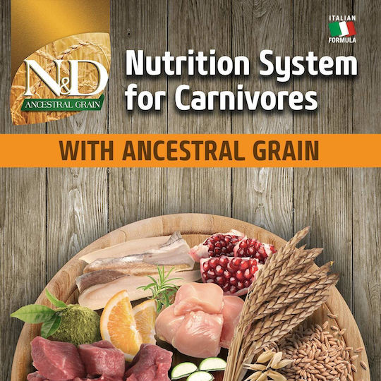 Farmina N&D Ancestral Grain Medium 2.5kg Trockenfutter mit wenig Getreide für erwachsene Hunde mittlerer Rassen mit Huhn und Granatapfel