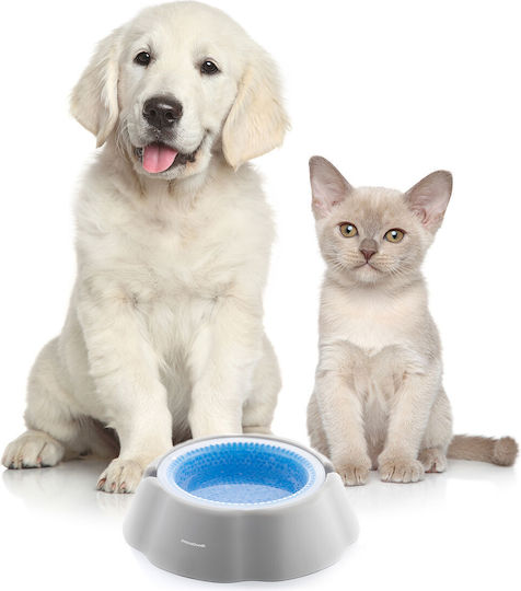 InnovaGoods Freshty Bowl made of Propylene Water for Dog & Cat with Base 450ml 24cm in White Color