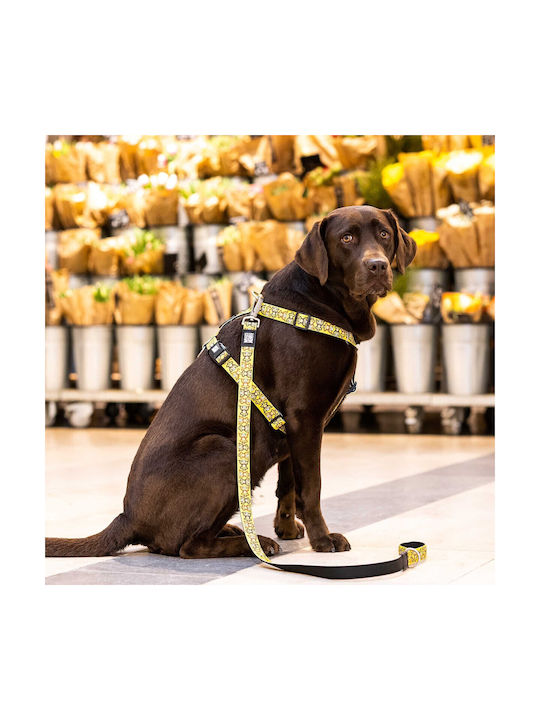 Max & Molly Dog Harness Monkey Maniac Yellow Large 25mm x 70-98cm MM01291