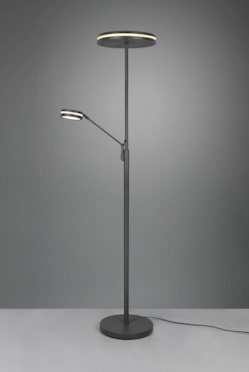 Trio Lighting 4265102 Trio Lighting 4265102