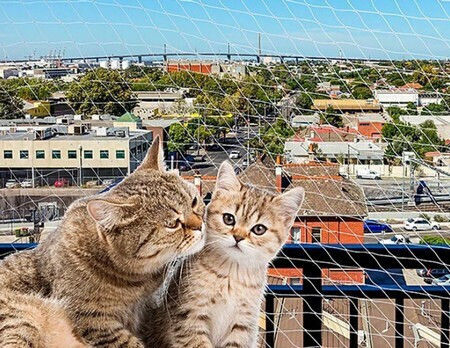 Ferplast Cat Net L Δίχτυ Γάτας 600x300εκ. από Μέταλλο 600 x 300 x 300εκ.
