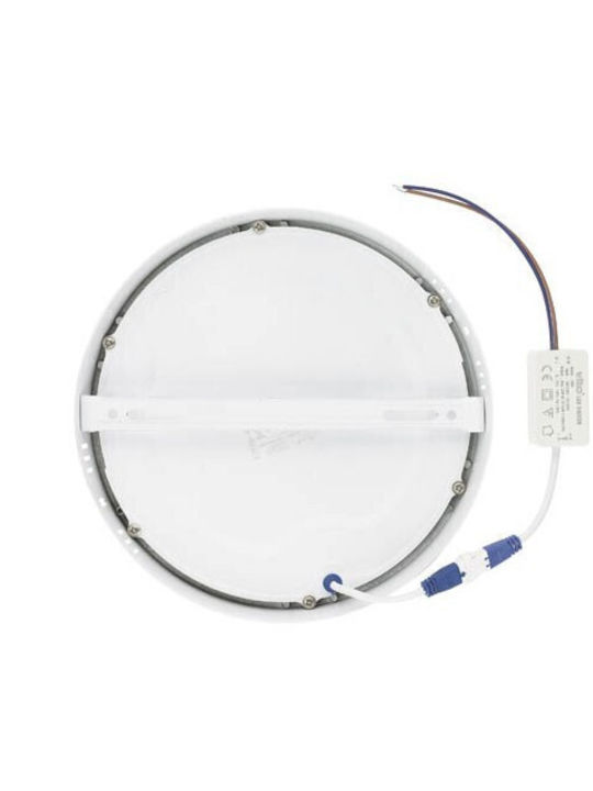 Vito Round Outdoor LED Panel 24W with Natural White Light 4000K 30cm