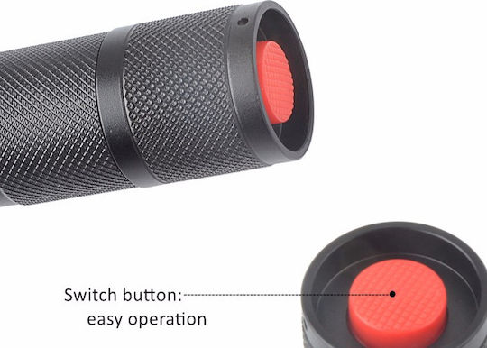 Cree Wiederaufladbar Taschenlampe LED mit maximaler Helligkeit 1000lm XML-T6 3xAAA