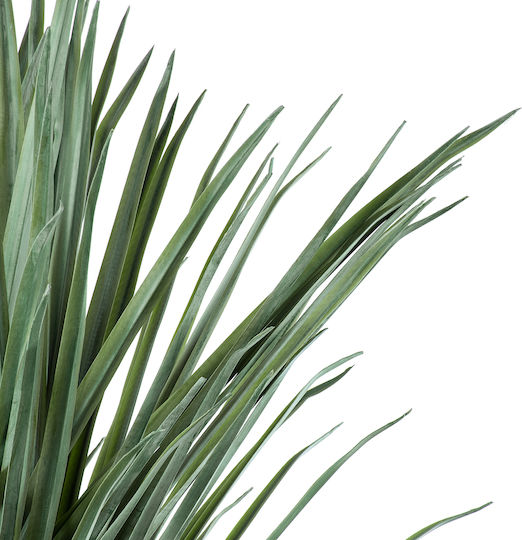 Palm Tree in Potted Plant 165cm GloboStar