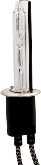 Lamps Car H1 Xenon 4300K Natural White 55W 1pcs