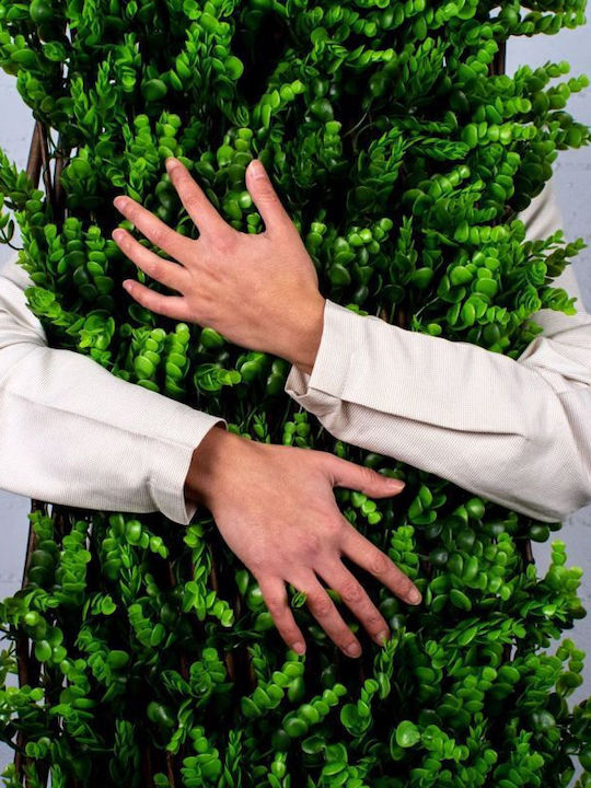 Supergreens Συνθετική Φυλλωσιά σε Καφασωτό Πυξάρι 2x1m