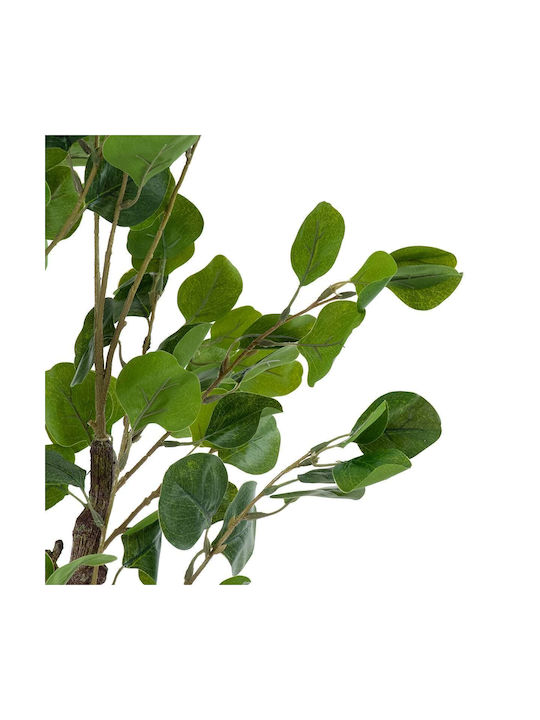 Eucalyptus in Potted Plant 120cm GloboStar
