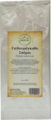 Nostos Pure Σπόροι Thistle 1000gr