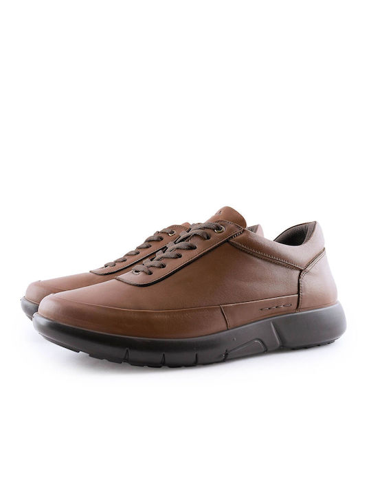 Boxer Anatomical Sneakers Tabac Brown