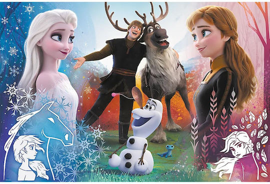 Puzzle pentru Copii Frozen pentru 8+ Ani 300buc Trefl