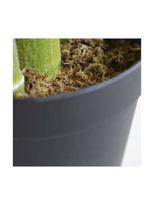 Arbore Artificial de Exterior Palmier Green 180cm Newplan