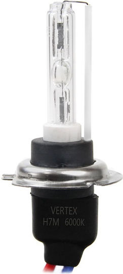 AMiO Lamps Car H7 Xenon 6000K Cold White 12V 35W 1pcs