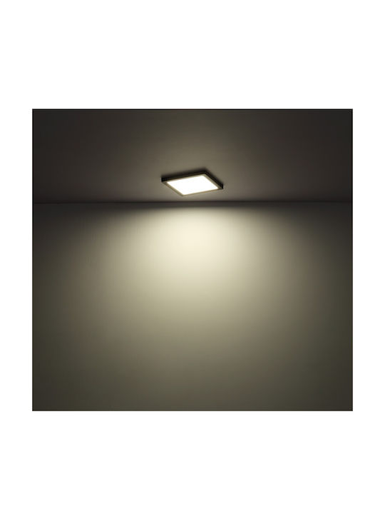Globo Lighting Square Outdoor LED Panel 18W with Cool White Light 6500K