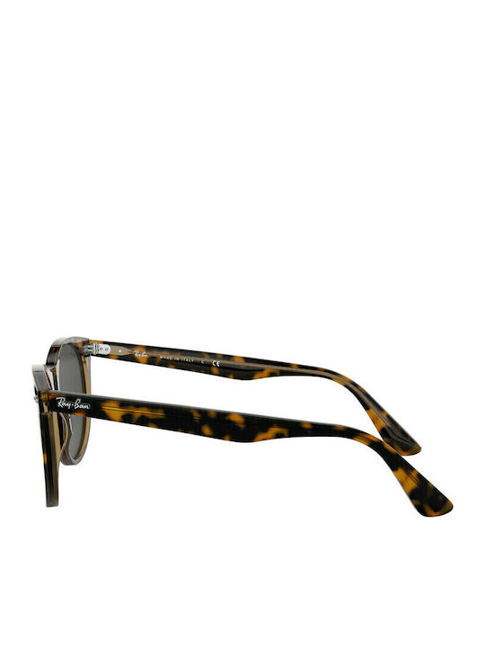 Ray Ban Wayfarer II Унисекс Слънчеви Очила с Кафяв Костенурков Пластмасов Рамки и Черни Лещи