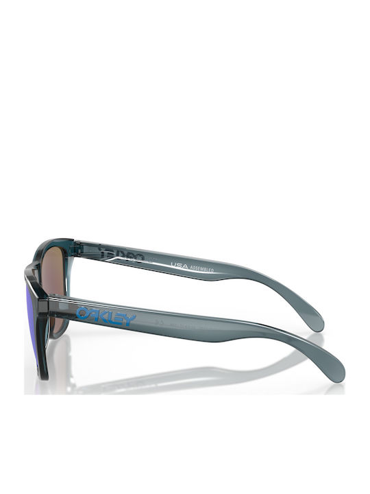 Oakley Frogskins Men's Sunglasses with Black Plastic Frame and Blue Polarized Mirror Lens OO9013-F6