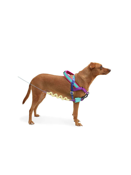 Zee-Dog Dog Harness Training Softer Shockwave Small 22-31cm 999062