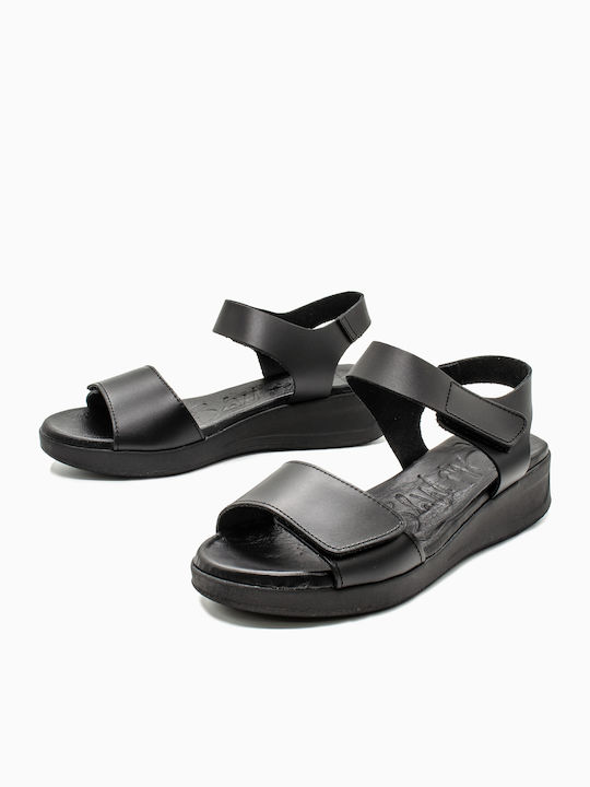 Oh My Sandals Oh My Sandals