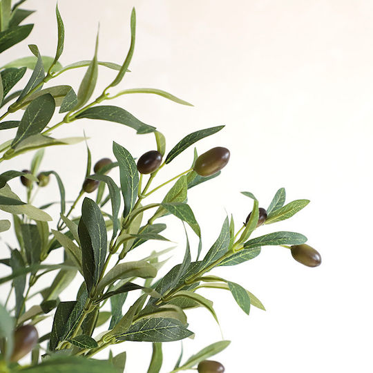 Olive Baum im Freien Newplan