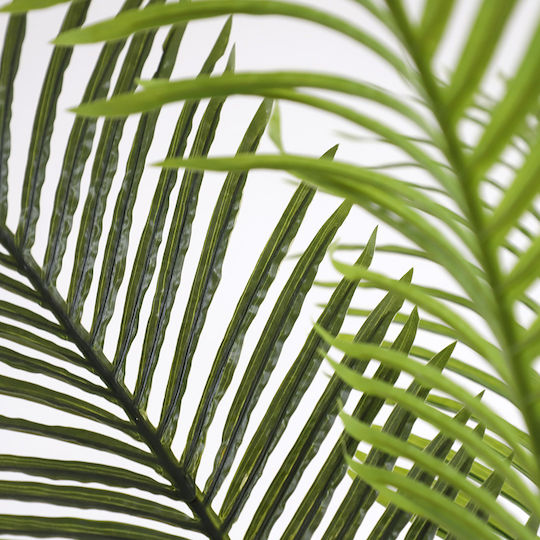 Outdoor Palm Tree Newplan