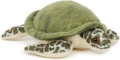 Semo Plush Caretta Turtle 15 cm