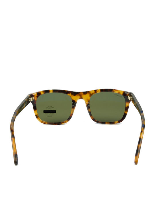 Serengeti Charlton Unisex Γυαλιά Ηλίου με Καφέ Ταρταρούγα Κοκκάλινο Σκελετό και Πράσινο Polarized Φακό SS576005