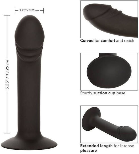 Calexotics Curved Anal Stud Πρωκτικό Dildo Small Μαύρο