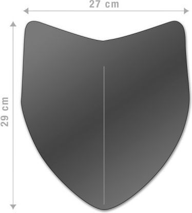 Barracuda Motorcycle Windshield & Windscreen Tinted Visor for Ducati Monster DN7300