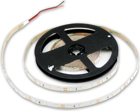 Geyer LED-Streifen 12V Natürliches Weiß Licht 5m Typ SMD5050