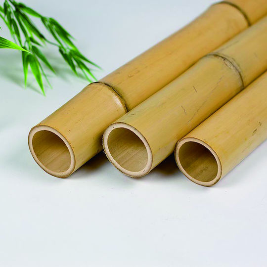 Showood Reed pentru Împrejmuire Grădină din Bambus 300x14x14buc 1buc