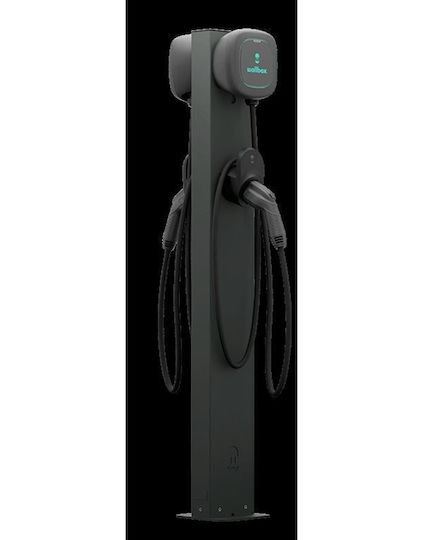 Wallbox Berg (PED-EIFBS-DUAL)