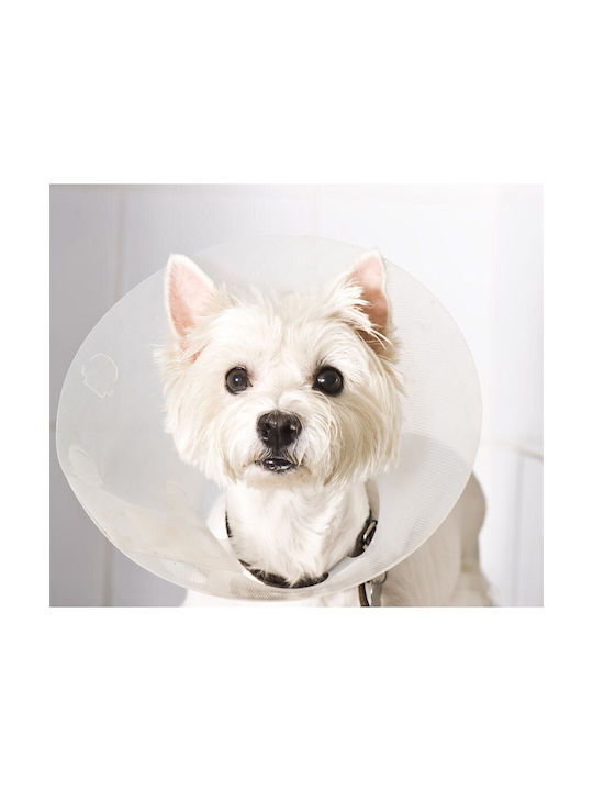 Trixie Ελισάβετ Dog Collar Cone Collars In Transparent Colour Small / XSmall 22 - 25cm