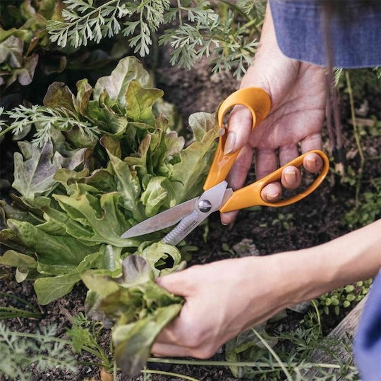 Fiskars Schere mit Rostfreier Stahl Klinge Orange 1Stück
