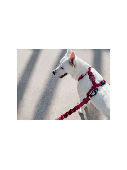 Zee-Dog Hundegeschirr H-Harness Rot Groß 395770