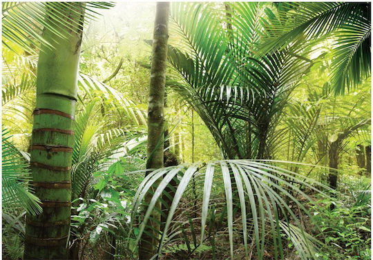 Αυτοκόλλητη Φωτοταπετσαρία Τοίχου Green Alley Πράσινη 441x315cm