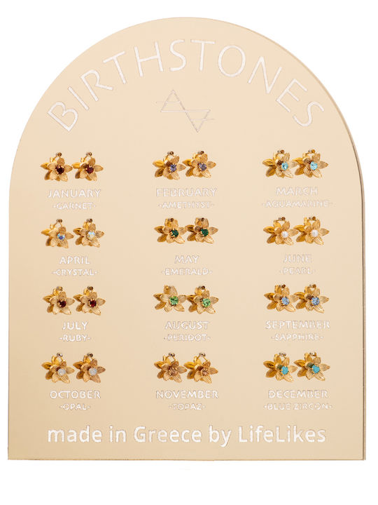 LifeLikes Earrings Gold Plated with Stones