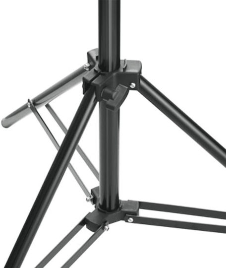vidaXL Studio mit Set Lichter, Hintergrund & Reflektor Beleuchtungsset für Studio