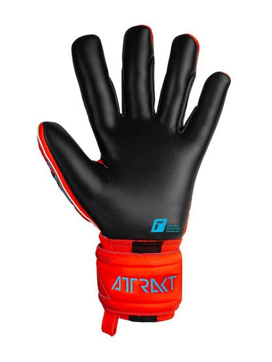 Reusch Attrakt Freegel Gold X Adults Goalkeeper Gloves Red