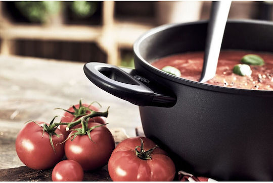 Ballarini Avola Deep Pot made of Aluminum 2.8lt / 20cm