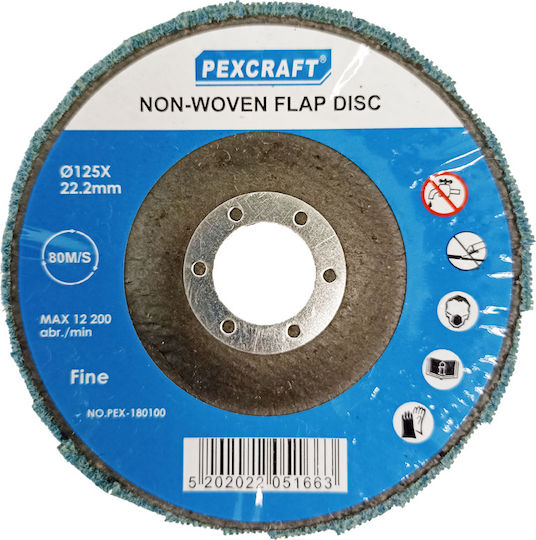 Pexcraft Disc de șlefuire pentru Μetal 125mm Set de 1buc