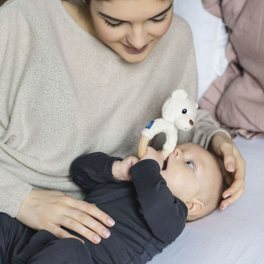 Whisbear Bear Μασητικός Κρίκος Οδοντοφυΐας από Ξύλο για 0 m+