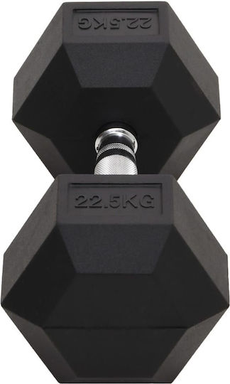vidaXL Hexagon Dumbbell 1 x 22.5kg