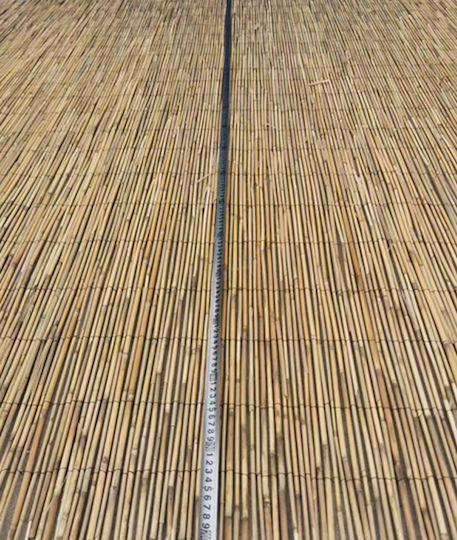 ArteLibre Καλαμωτή με Ολόκληρο Καλάμι 1x3m