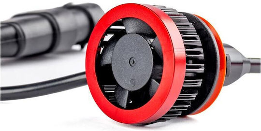 AMiO Λάμπες Αυτοκινήτου BF Series H11 / H8 / H9 LED 6000K Ψυχρό Λευκό 12V 50W 2τμχ