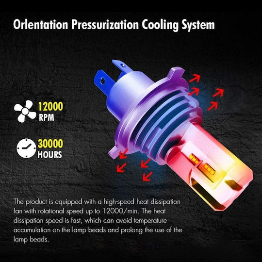 Lamps Car H4 LED 6500K Cold White 12V 50W 2pcs