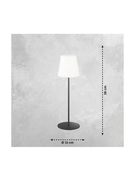 Fischer Honsel Fischer Honsel Outdoor Floor Lamp LED RGB White