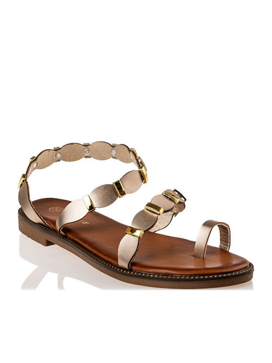Envie Shoes Envie Shoes